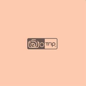 بکدراپ چوبی تک رو کد t06 — تصویر ۵