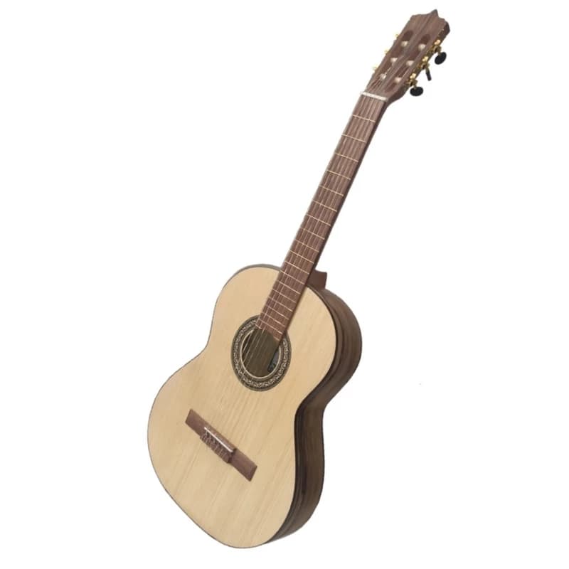 گیتار پارسی p70 — تصویر ۲