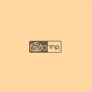 بکدراپ چوبی تک رو کد t02 — تصویر ۲