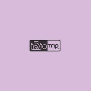 بکدراپ چوبی تک رو کدt028 — تصویر ۲