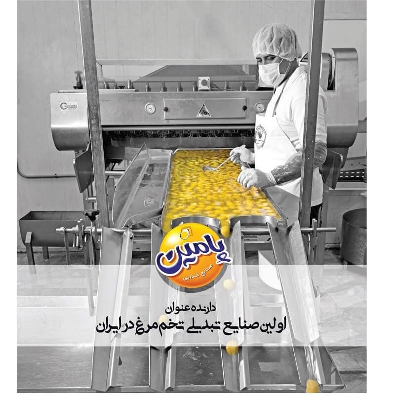 پودر سفیده تخم مرغ خالص 82 درصد پروتئین پامین – 1000 گرم — تصویر ۴