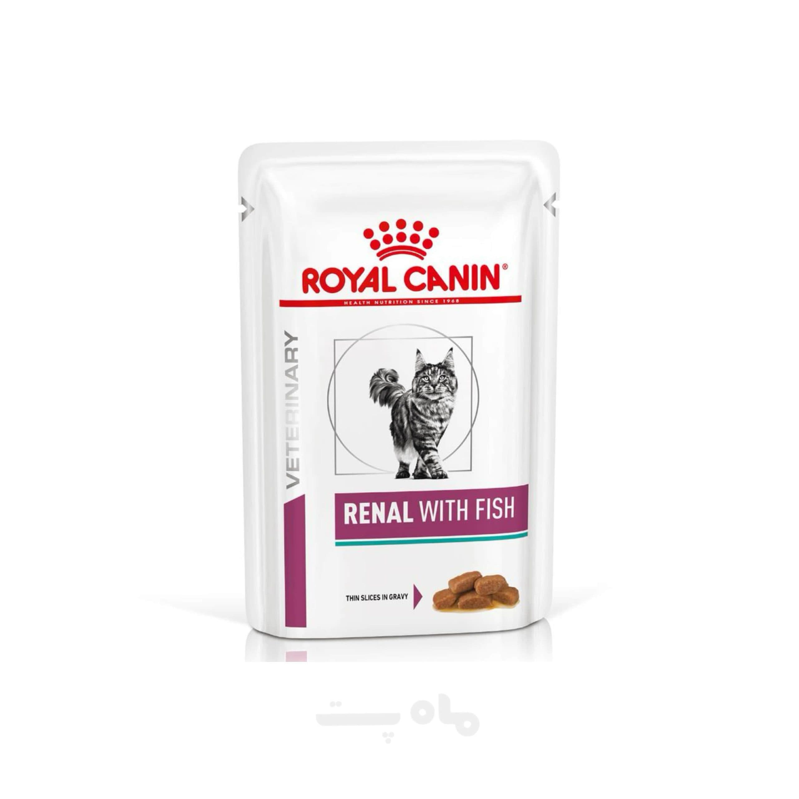 پوچ گربه رنال رویال کنین با طعم ماهی Renal with fish وزن 85 گرم
