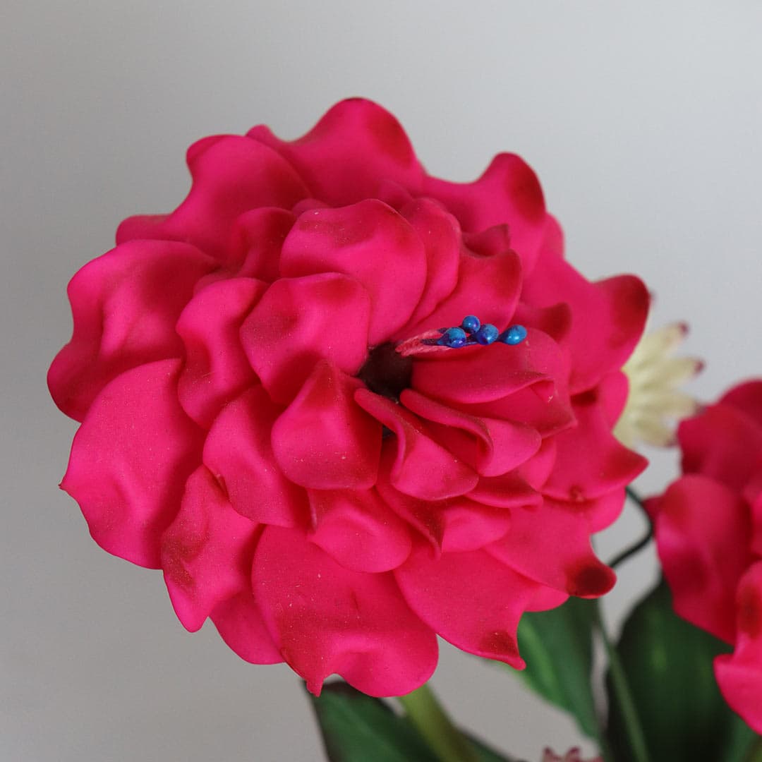 گل مینا مدل آفتاب — تصویر ۳