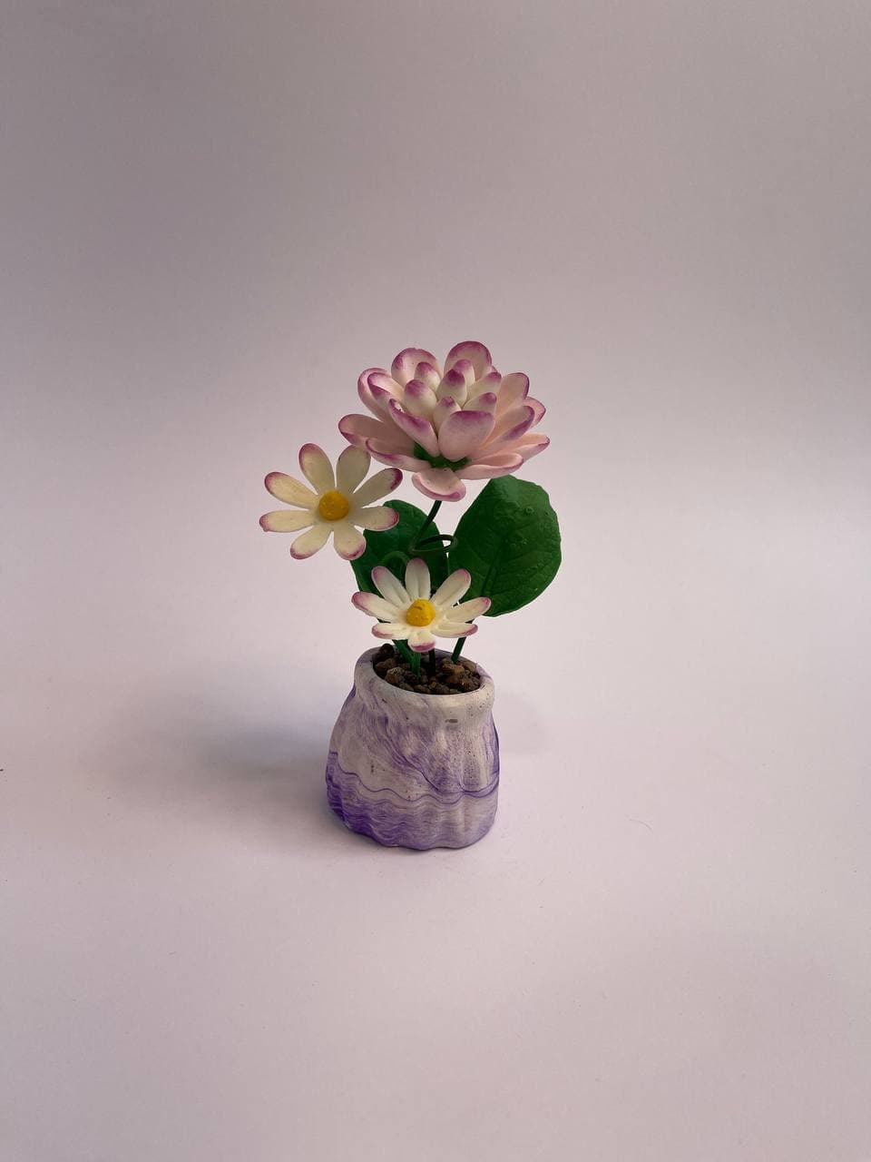 گل چینی سایه تلما — تصویر ۹
