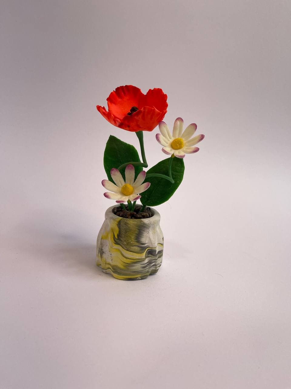 گل چینی سایه تلما — تصویر ۸