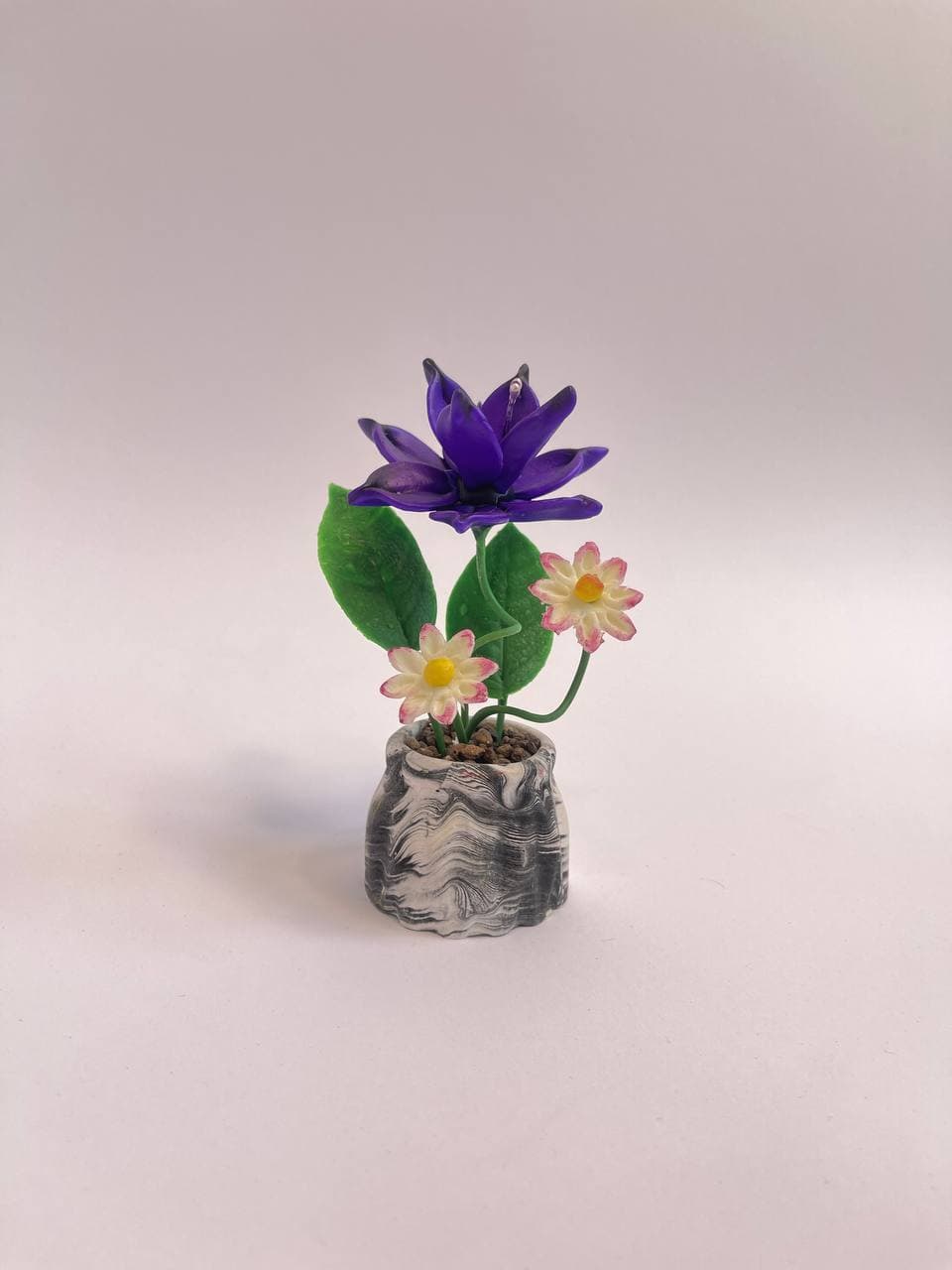 گل چینی سایه تلما — تصویر ۱۰