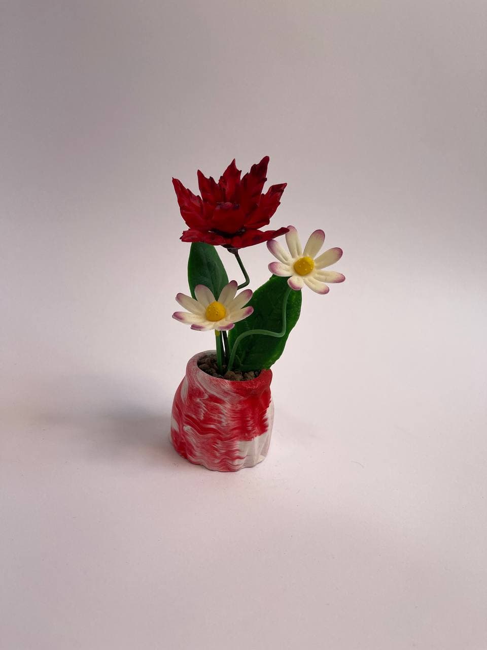 گل چینی سایه تلما