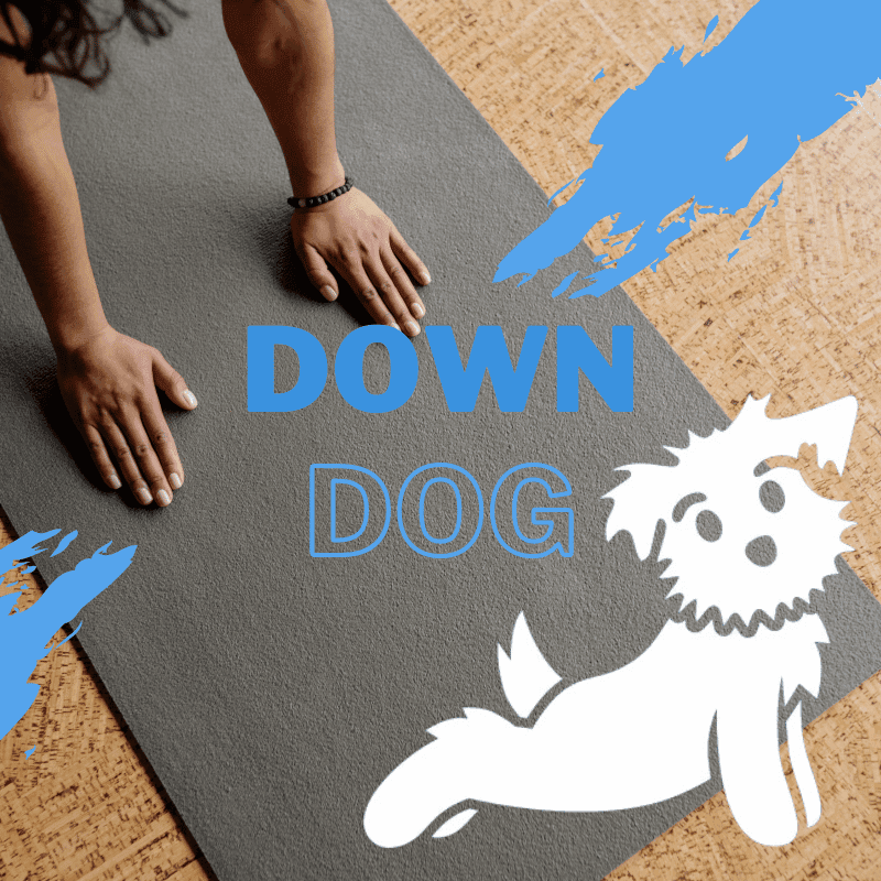 اکانت پرمیوم down dog – برنامه ورزشی و یوگا