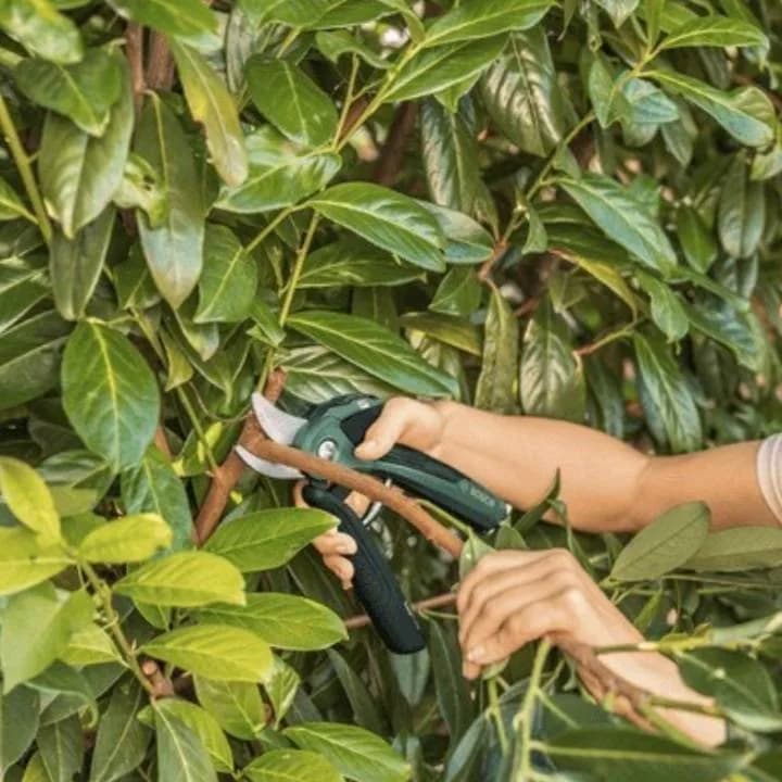 قیچی باغبانی شارژی بوش مدل EasyPrune — تصویر ۳