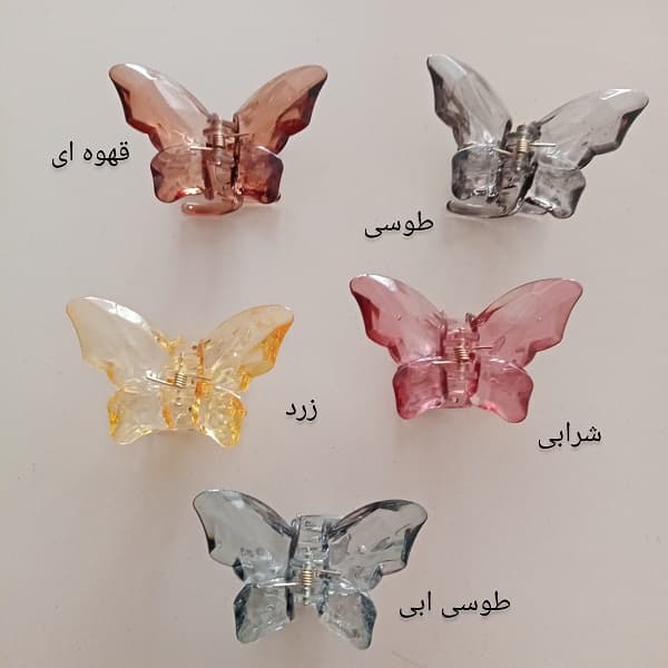 کلیپس پروانه شیشه ای بال بزرگ Pb11 — تصویر ۷