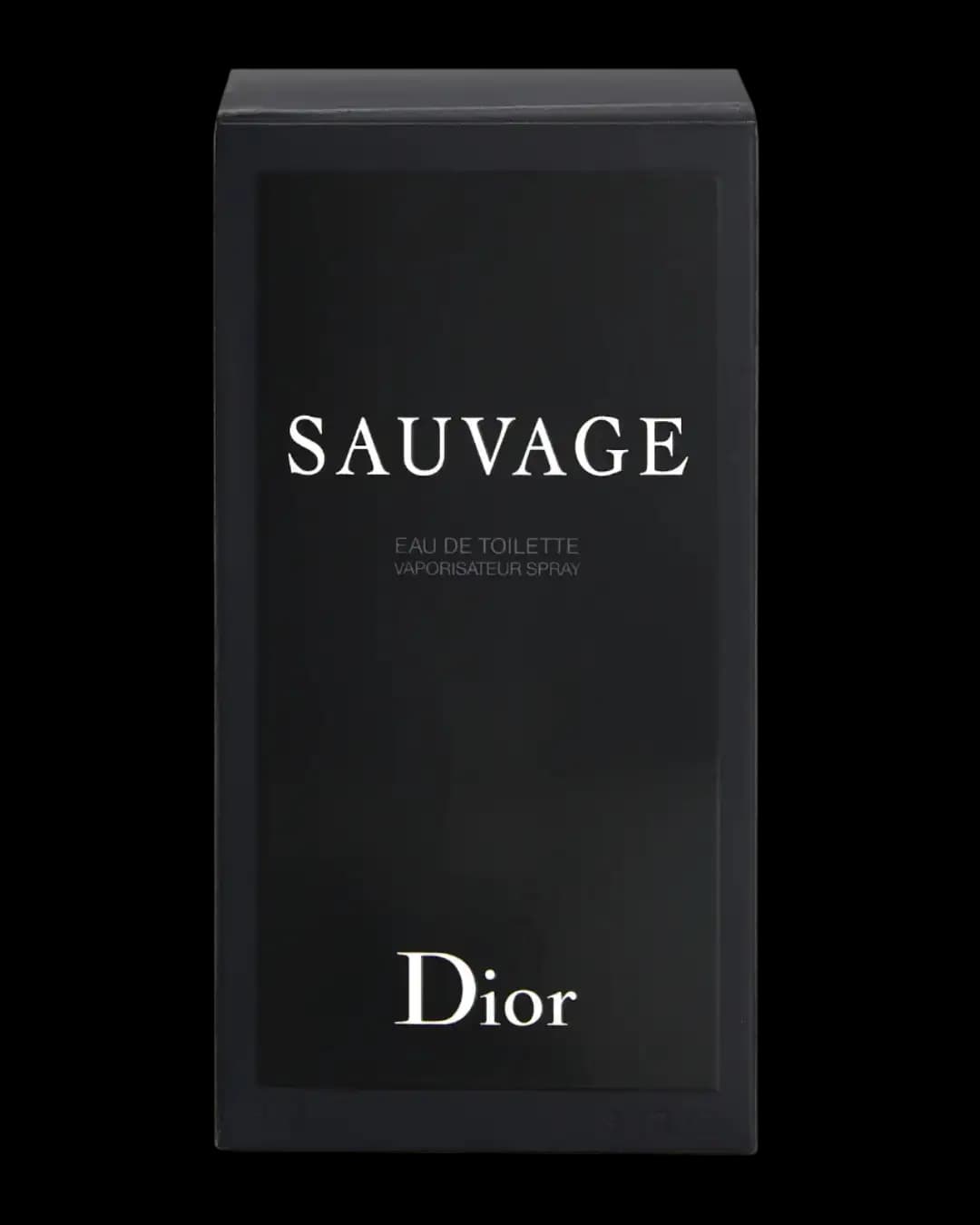 عطر دیور ساواج ادوتویلت | Dior Sauvage EDT — تصویر ۴