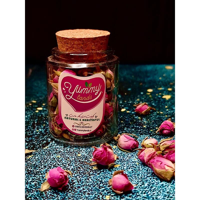 گل سرخ غنچه — تصویر ۱۰