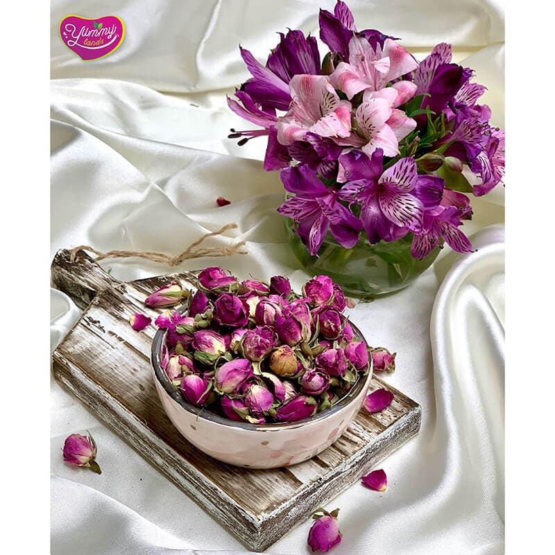 گل سرخ غنچه — تصویر ۹