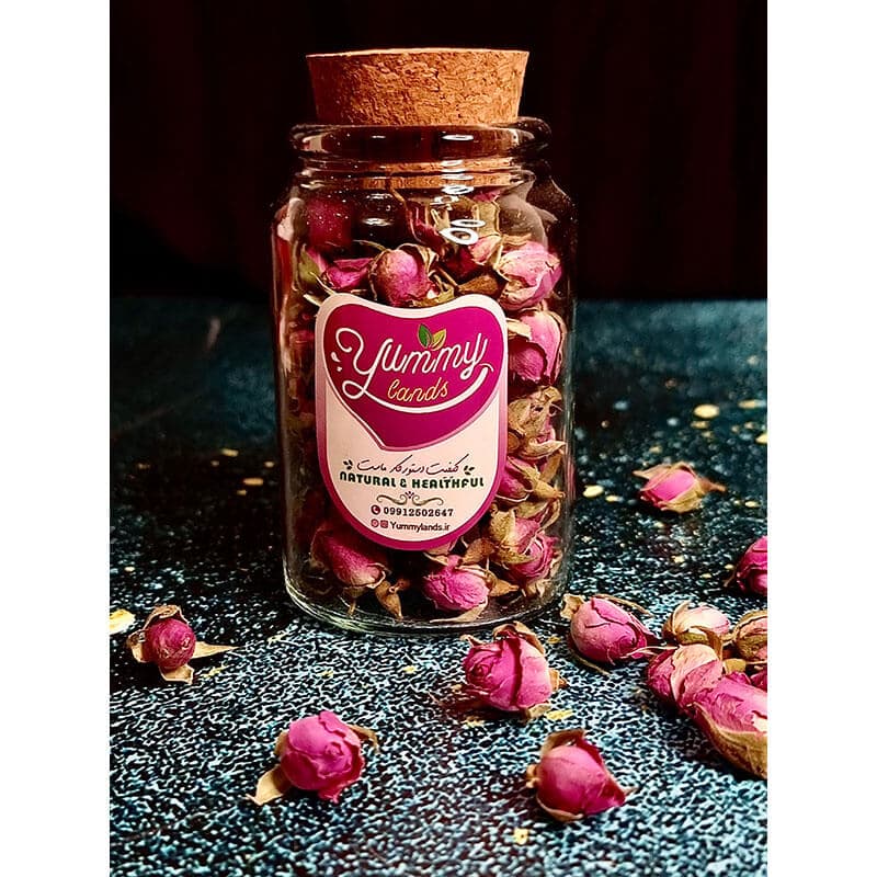 گل سرخ غنچه — تصویر ۱۲