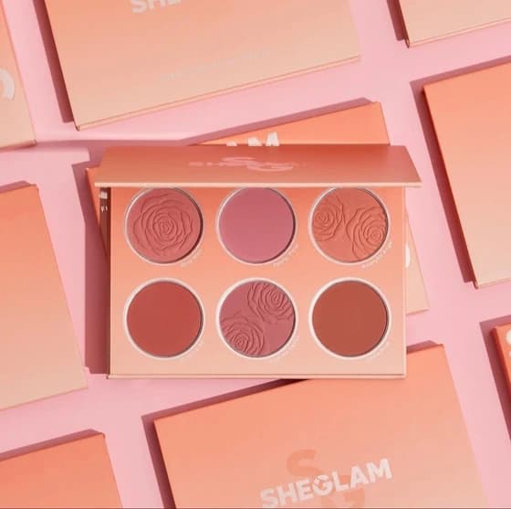 پالت رژگونه 6 رنگ شیگلم (SHEGLAM) مدل Floral Flush – وزن 12 گرم — تصویر ۵