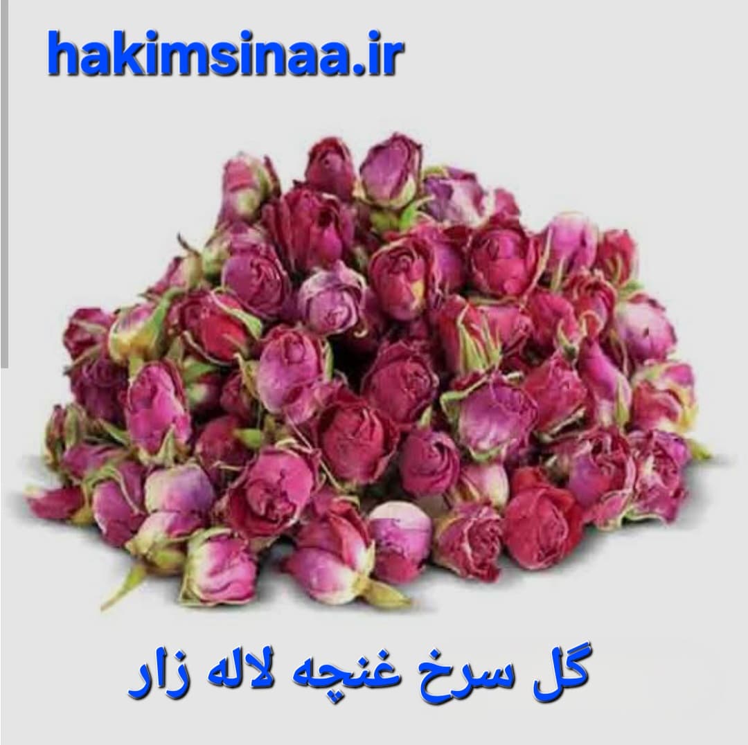 گل سرخ غنچه لاله زار