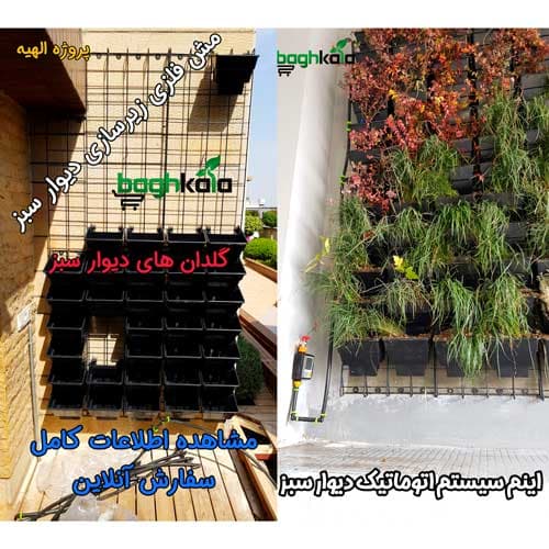 گلدان دیوار سبز (6 عدد) — تصویر ۶