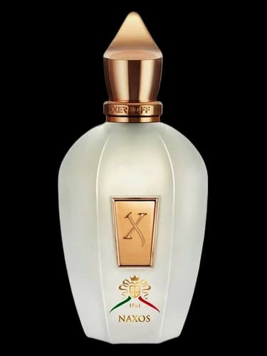 عطر یونیسکس زرجوف ایکس جی 1861 ناکسوس | XERJOFF XJ 1861 Naxos — تصویر ۴