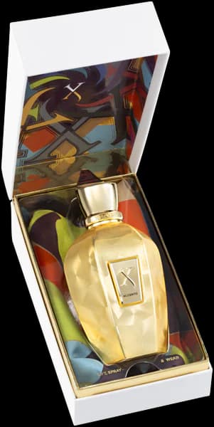 عطر یونیسکس زرجوف اکسنتو اوردوز | XERJOFF Accento Overdose — تصویر ۲