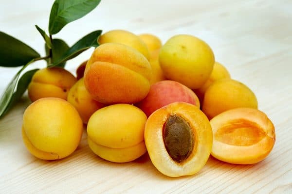 زردآلو شالو