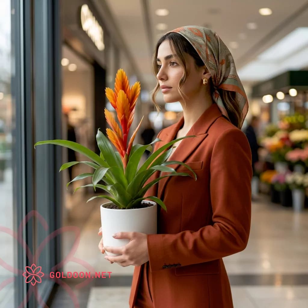 گیاه ورزیا — تصویر ۵
