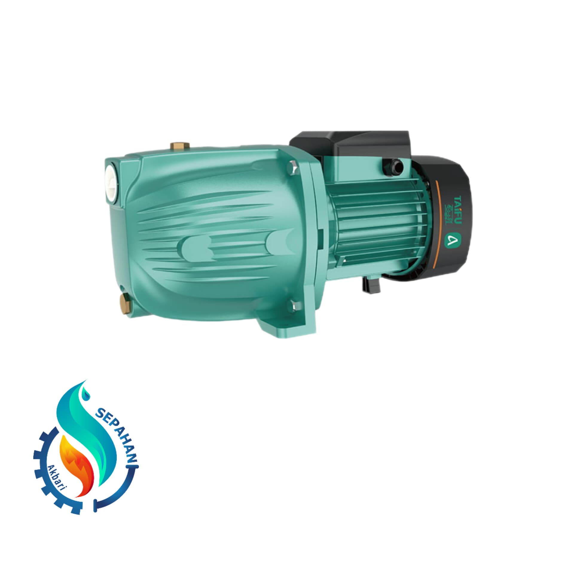 پمپ یک اسب جتی تایفو JET100 — تصویر ۳