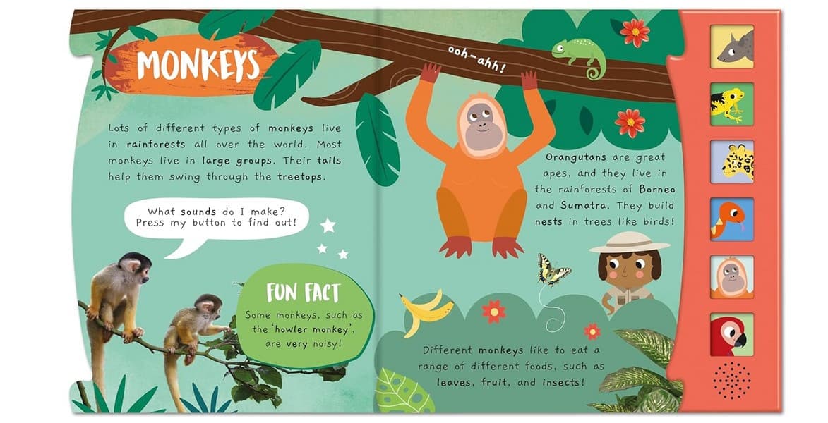little wonders sound book – noisy rainforest — تصویر ۷
