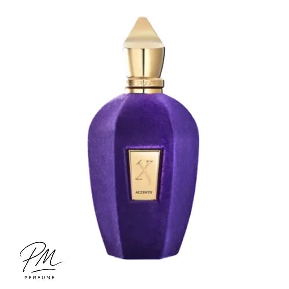 ادکلن زنانه و مردانه زرجوف اکسنتو 100ml (وارداتی اماراتی) — تصویر ۲