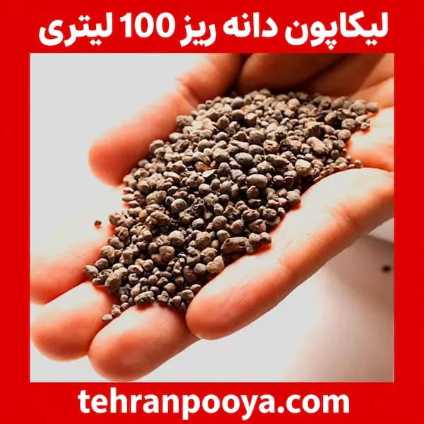 لیکاپون دانه ریز