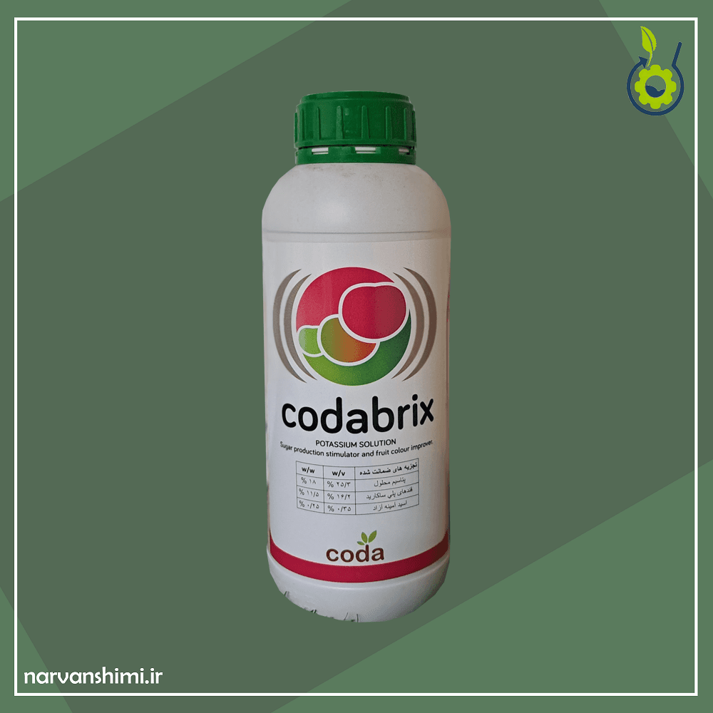 کدابریکس – Codabrix — تصویر ۲