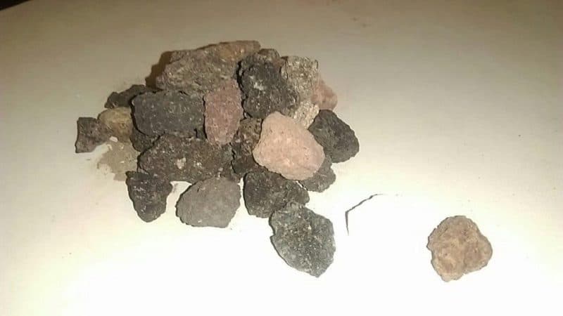 پوکه فندقی قروه — تصویر ۴