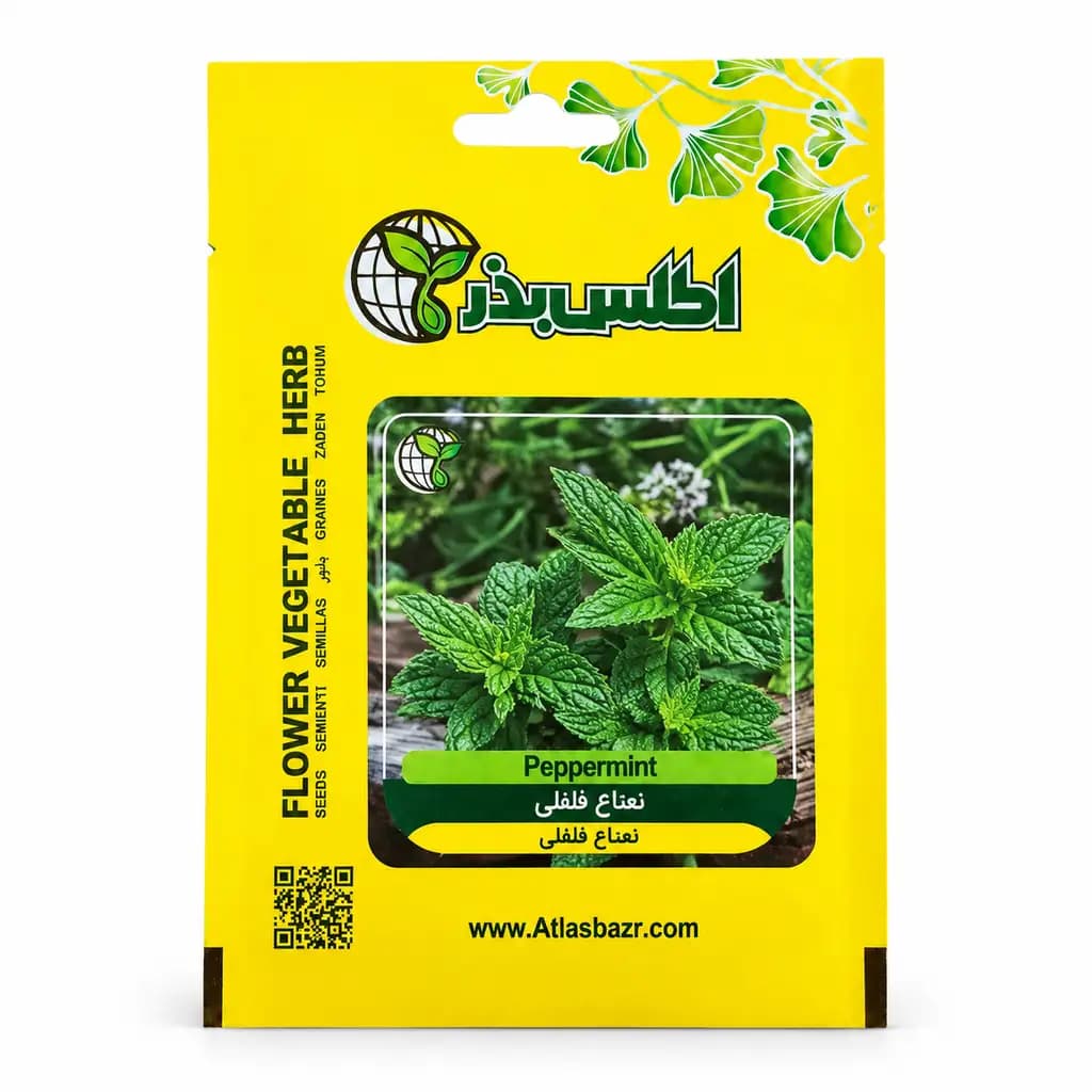بذر نعناع فلفلی پپرمینت — تصویر ۲