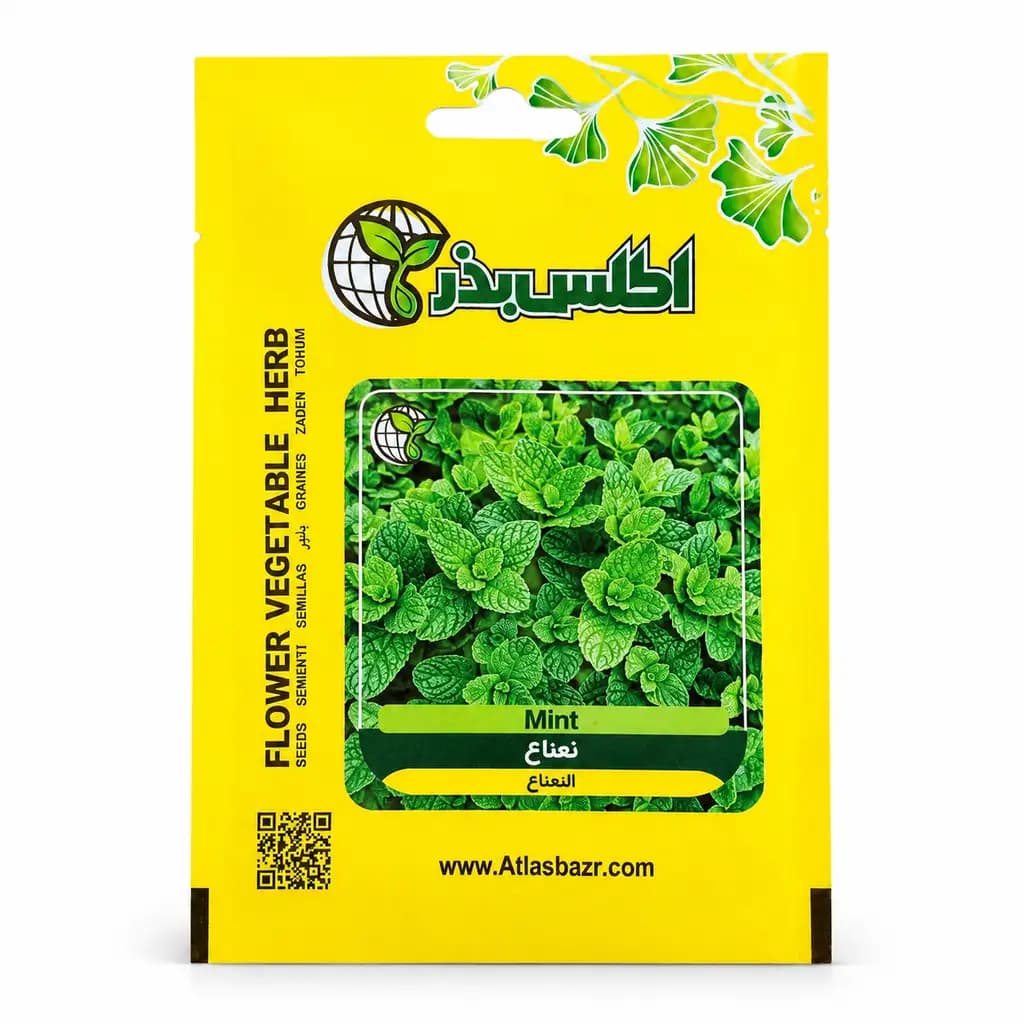 بذر نعناع معطر و پرپشت — تصویر ۲