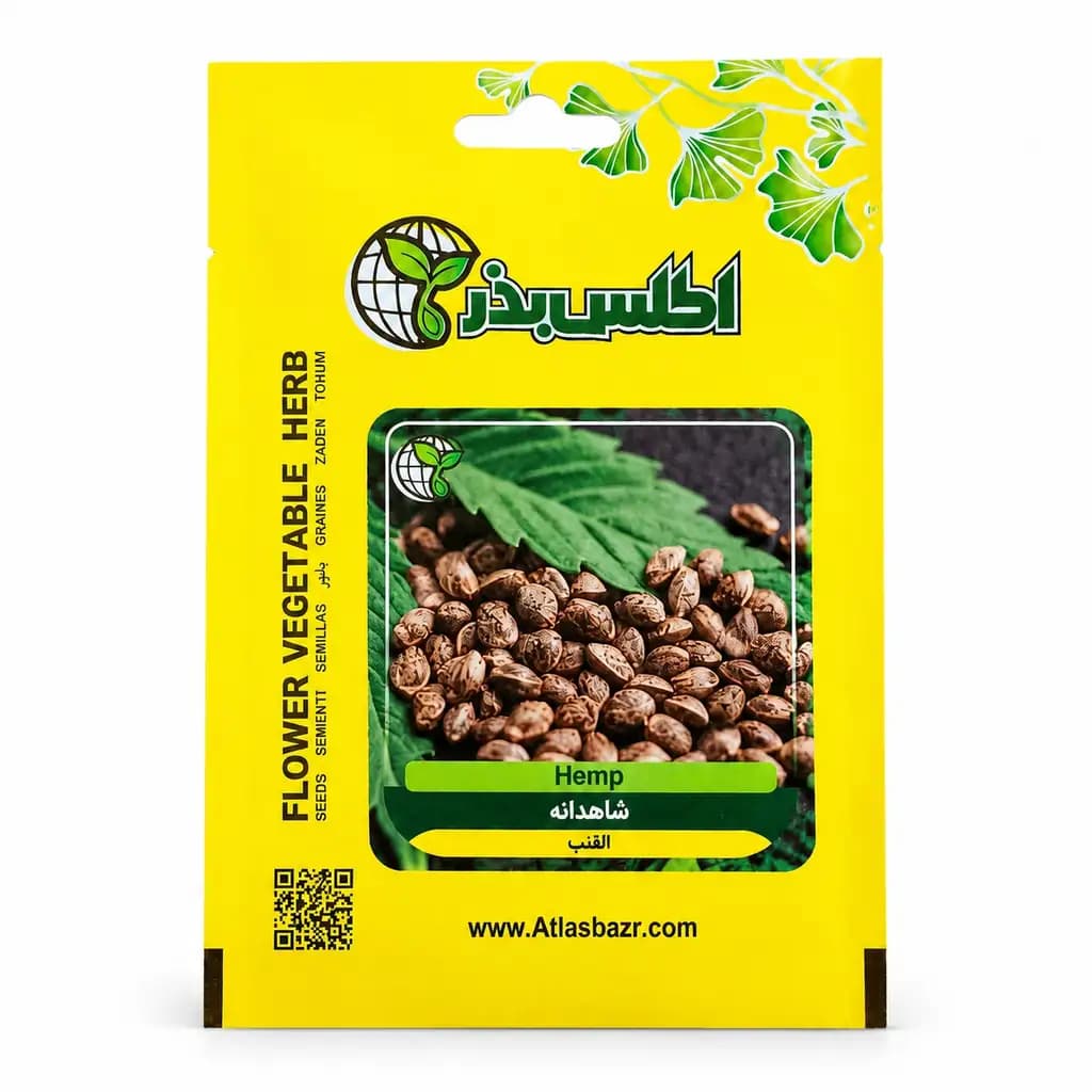 بذر شاهدانه خوراکی — تصویر ۲