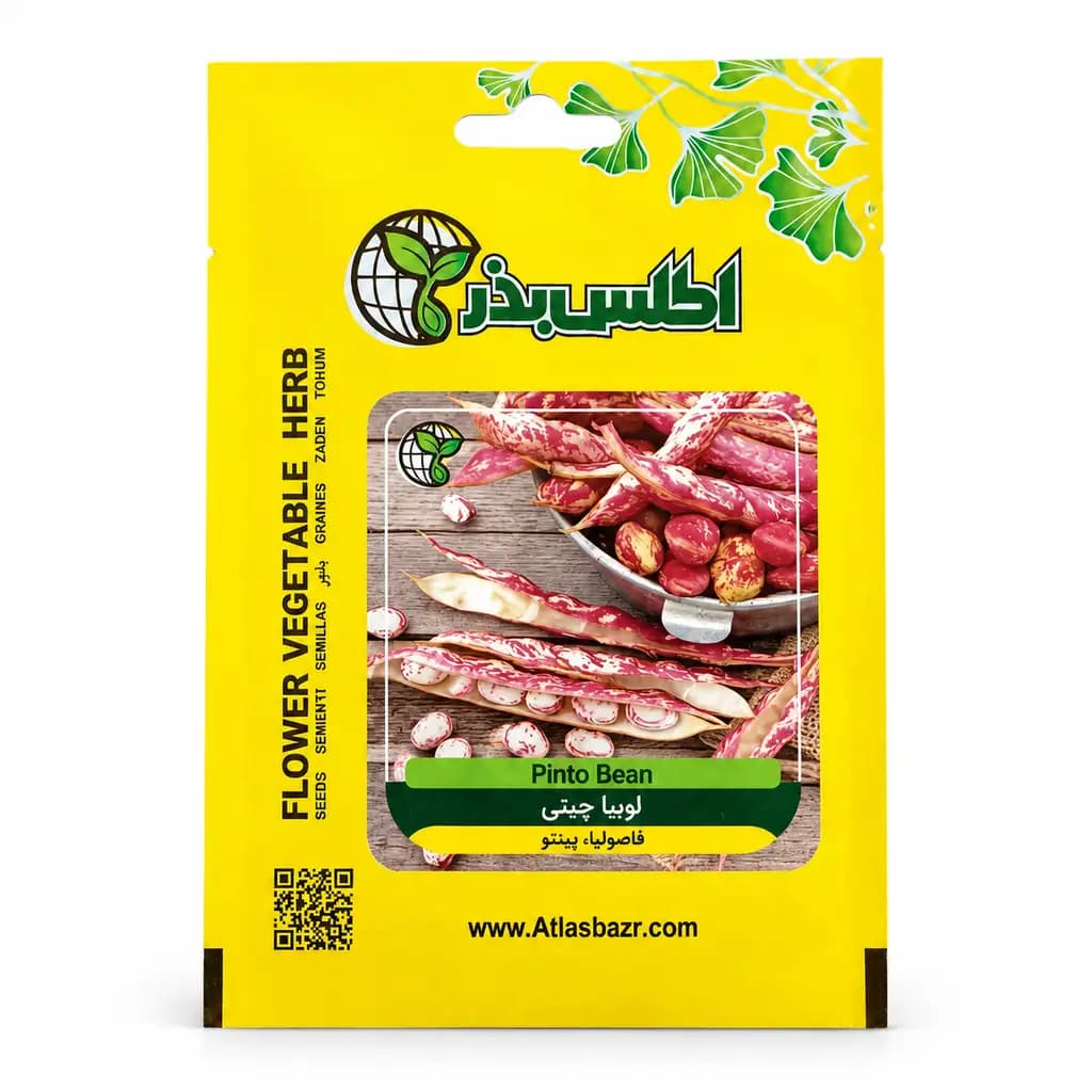 بذر لوبیا چیتی درشت ممتاز — تصویر ۲