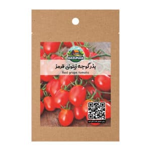 بذر گوجه فرنگی زیتونی قرمز آرزومان — تصویر ۳