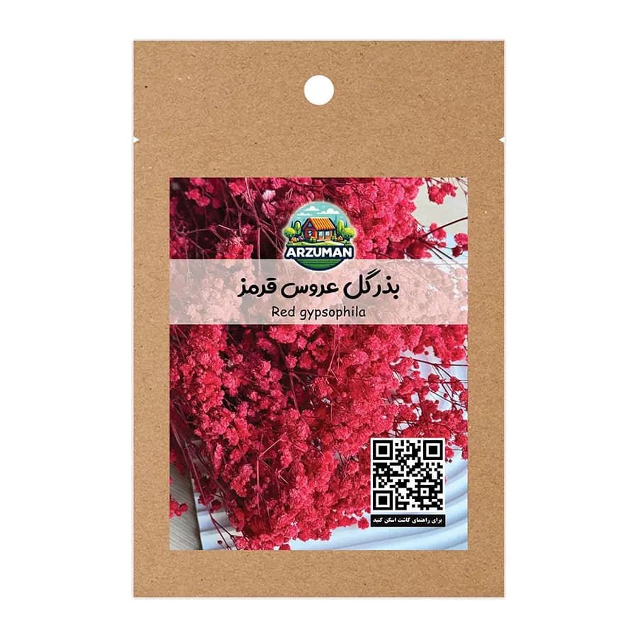 بذر گل عروس قرمز (جیپسوفیلا) هلندی آرزومان — تصویر ۲