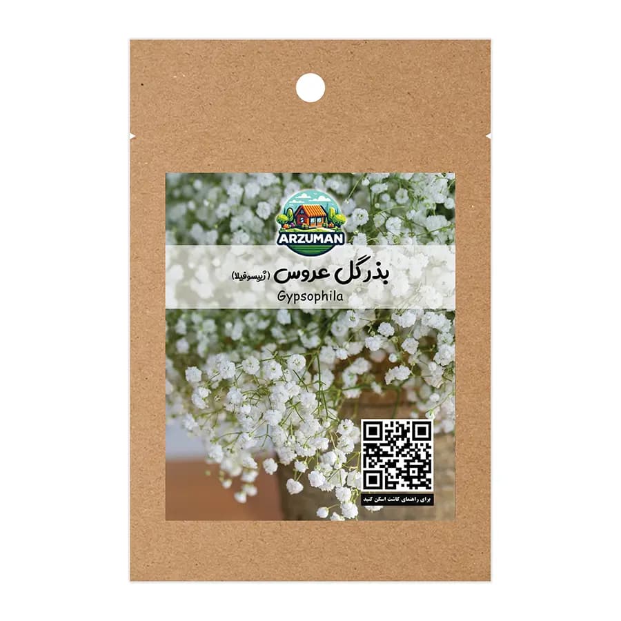بذر گل عروس سفید (جیپسوفیلا) هلندی آرزومان مناسب دسته گل