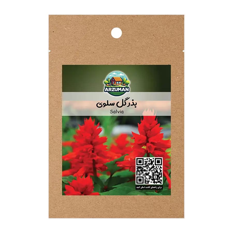 بذر گل سلوی (مریم گلی زینتی) اسکارلت قرمز آرزومان
