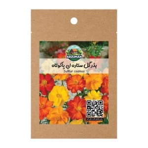 بذر گل ستاره ای پاکوتاه با گلدهی سریع — تصویر ۳