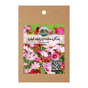 بذر گل ستاره ای پابلند آرزومان رنگارنگ — تصویر ۳