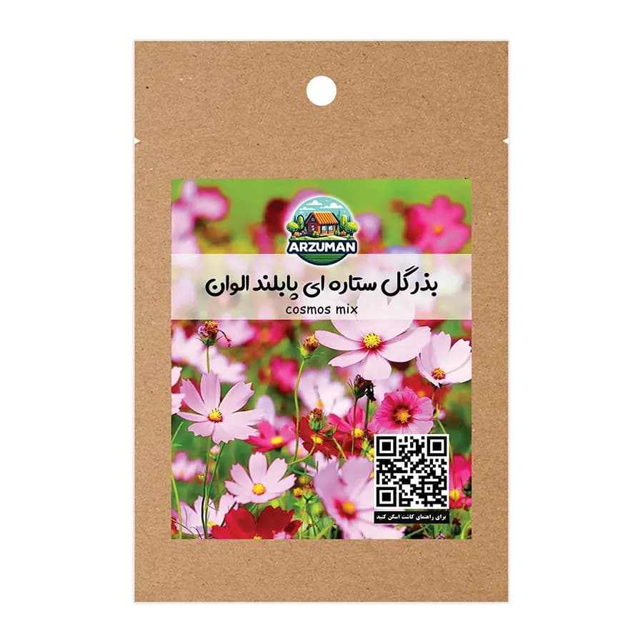 بذر گل ستاره ای پابلند آرزومان رنگارنگ — تصویر ۲