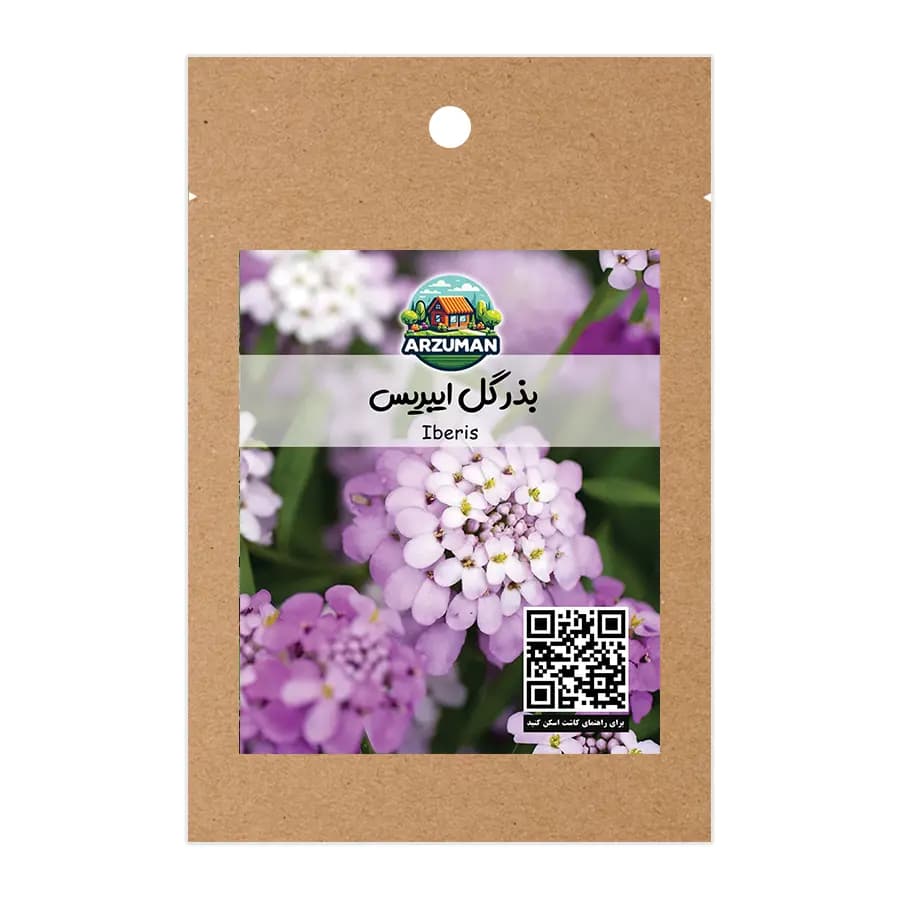 بذر گل ایبریس (مروارید) سفید آرزومان — تصویر ۲