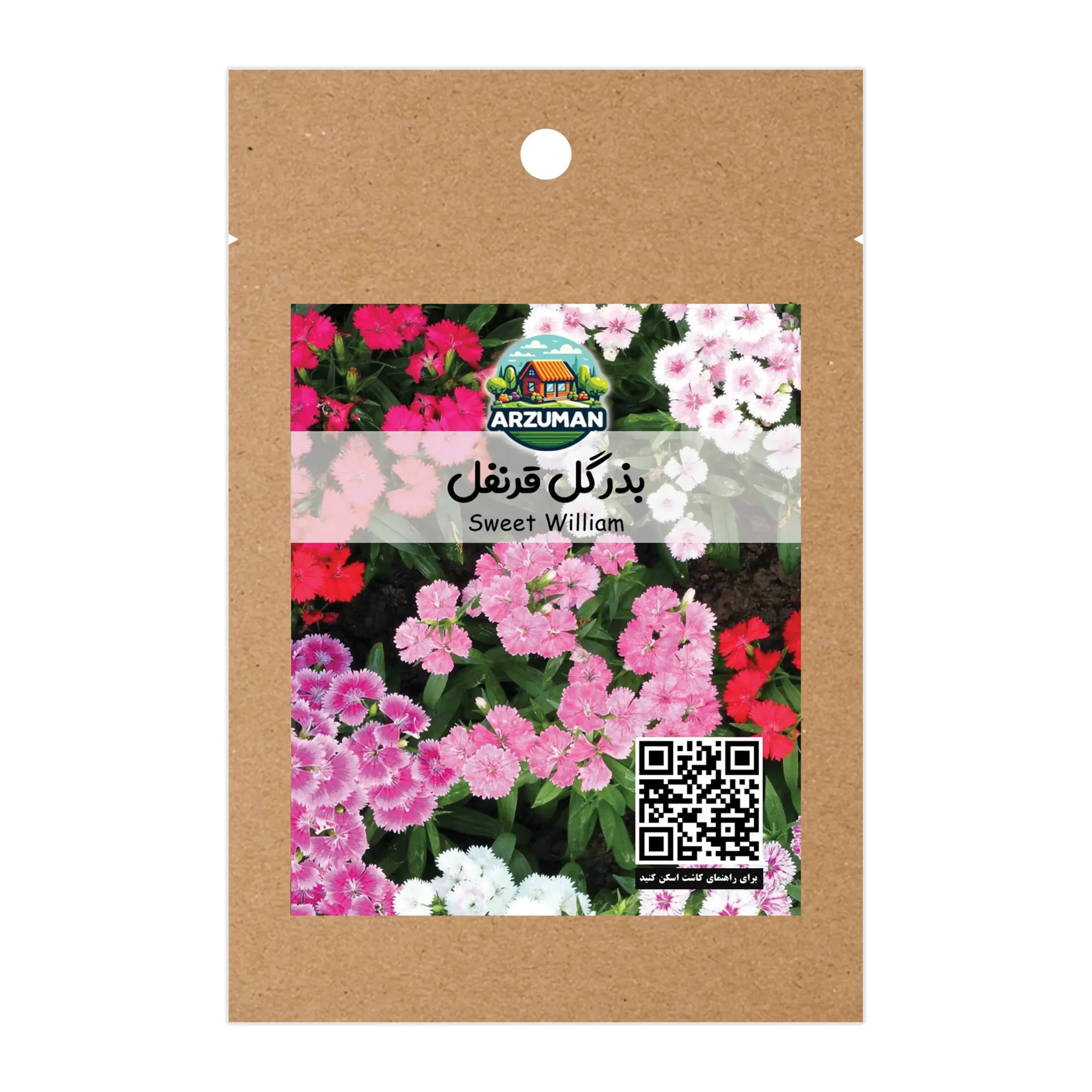بذر گل قرنفل الوان آرزومان معطر و زیبا