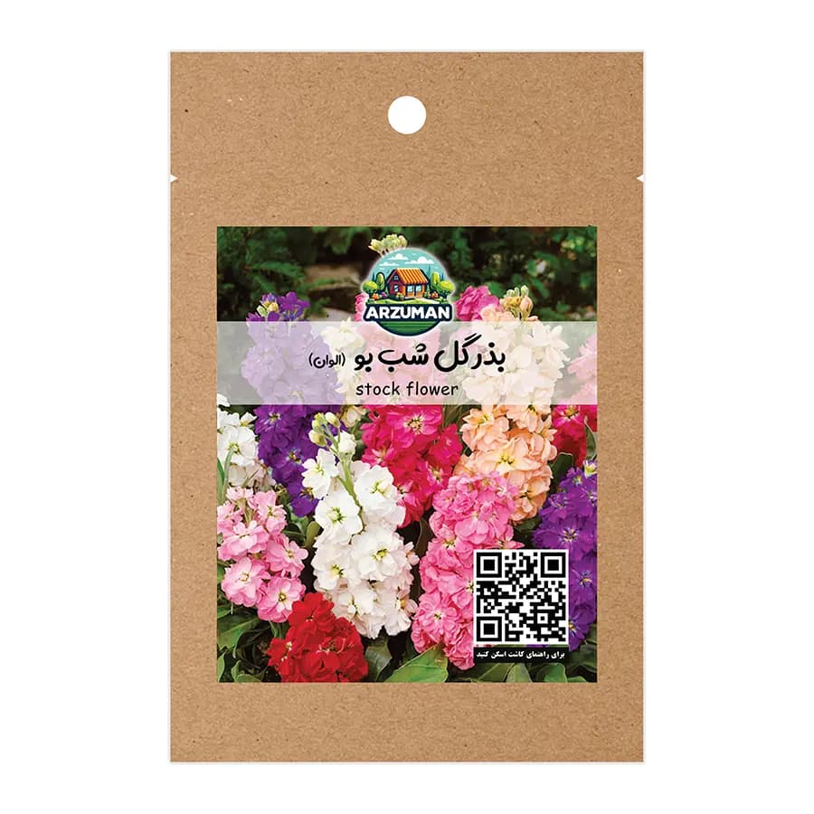 بذر گل شب بو پابلند معطر آرزومان (پادشاه گیاهان معطر)