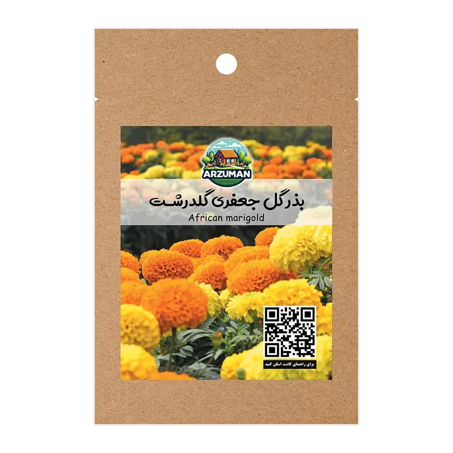 بذر گل جعفری گل درشت پاکوتاه آرزومان — تصویر ۳