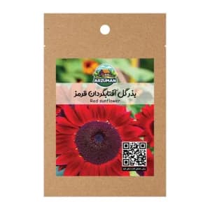 بذر گل آفتابگردان قرمز پابلند آرزومان گونه تزئینی خاص — تصویر ۲