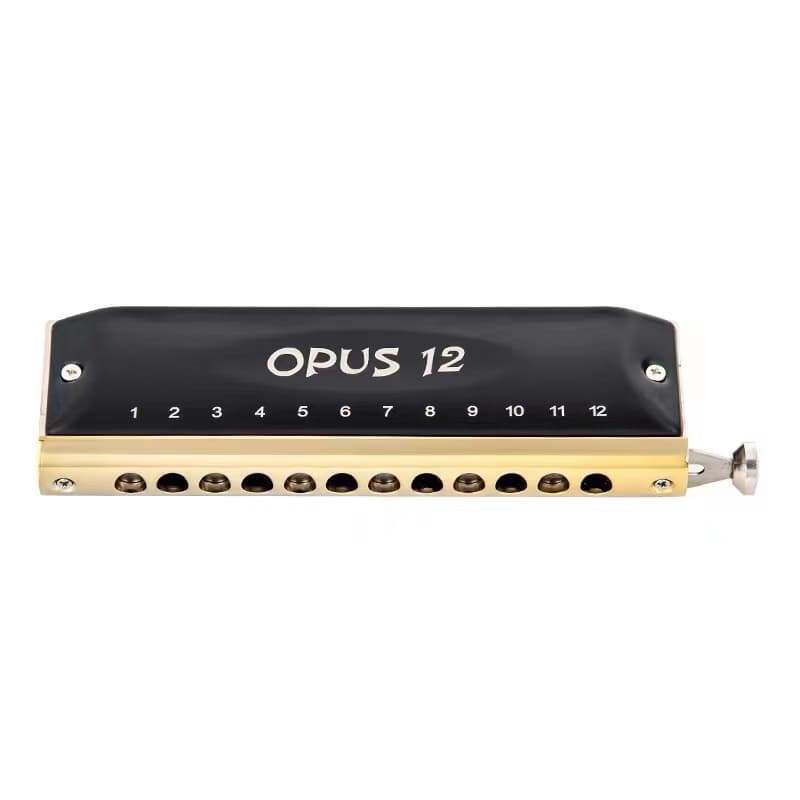 سازدهنی کروماتیک اپوس ایستاپ هارمونیکا Easttop 12 Opus