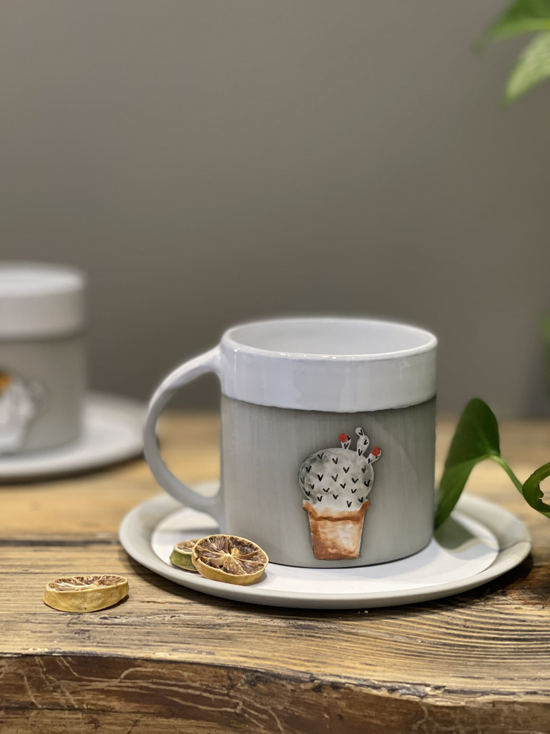ماگ طرح کاکتوس