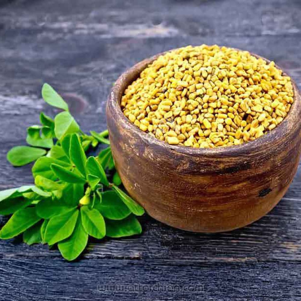 بذر شنبلیله اردستانی — تصویر ۲